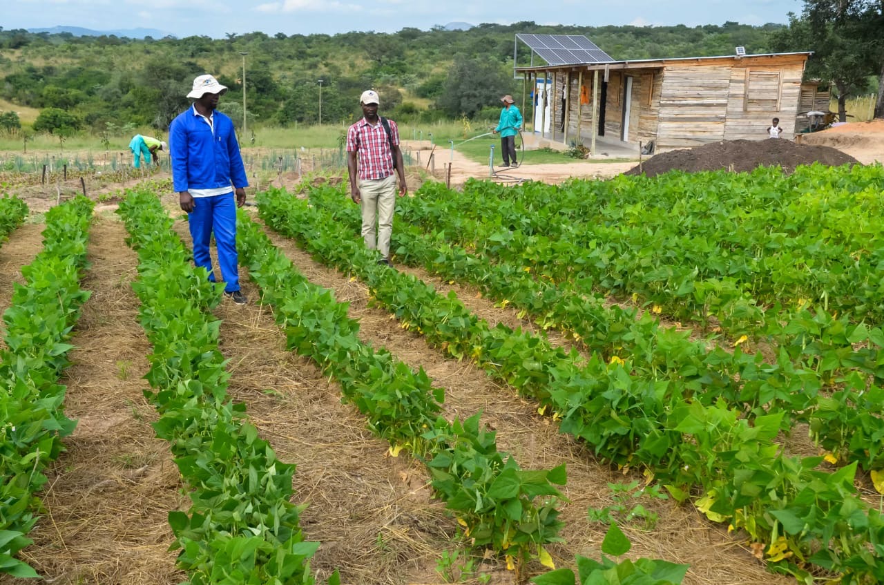 IMPULSA Sudáfrica: de un pozo a una cosecha de esperanza